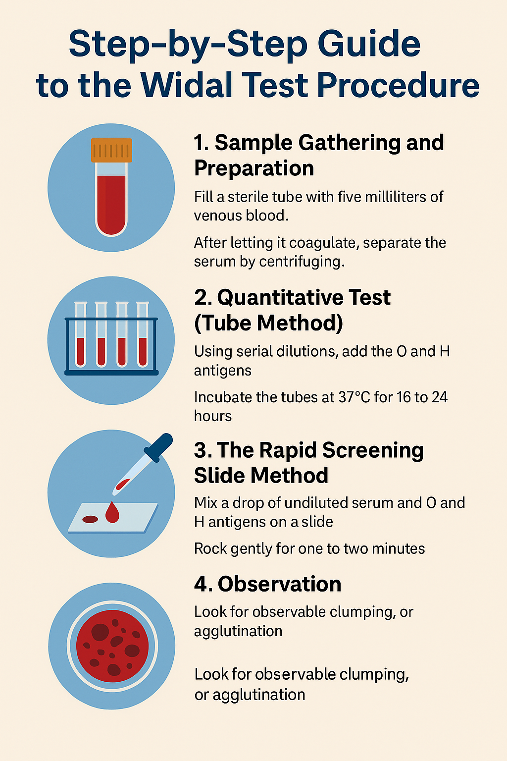 Widal Test Procedure: A Complete Guide